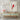 Red Cardinal in Winter Solitude Canvas Wrap / 24 x 32