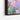 Colorful Impressions of a Hummingbird Framed Canvas (Black) / 32 x 48