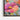 Colorful Hummingbird Amidst Floral Hues Framed Canvas (Black) / 16 x 20