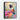 Colorful Hummingbird Amidst Floral Hues Framed Canvas (Black) / 8 x 10