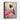 Colorful Hummingbird Amidst Floral Hues Framed Canvas (Walnut) / 16 x 20
