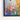 Vibrant Flight amongst Florals Framed Canvas (Black) / 16 x 20