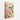 Hummingbird Amidst Blossoming Poppies Canvas Wrap / 20 x 30