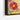 Whimsical Flights Among Summer Blooms Framed Canvas (Black) / 20 x 30