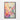 Flutter of Colors: Hummingbird Elegance Framed Canvas (Black) / 32 x 48