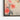 Hummingbird's Delicate Dance with Blossoms Framed Canvas (Black) / 18 x 24