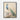 Majestic Peacock Amidst Blossoming Spring Framed Canvas (Black) / 16 x 20