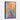 Majestic Peacock in Colorful Expression Framed Canvas (Black) / 32 x 48
