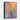 Majestic Peacock in Colorful Expression Framed Canvas (Black) / 8 x 10