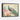 Majestic Peacock in Blossom Symphony' Framed Canvas (Black) / 24 x 18