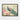 Majestic Peacock in Blossom Symphony' Framed Canvas (Black) / 24 x 18