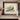 Majestic Peacock amid Blossoming Flowers Fine Art Print / 30 x 20