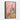 Autumn Majesty: Peacocks in Pink Framed Canvas (Black) / 32 x 48