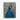 Majestic Blue Peacock Portrait Canvas Wrap / 16 x 20
