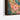 Vibrant Hummingbird in Floral Paradise Framed Canvas (Black) / 30 x 40