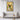 Vibrant Hummingbird Amidst Flower Blossoms Framed Canvas (Black) / 32 x 48