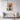 Whimsical Cat in a Colorful World Canvas Wrap / 24 x 32