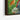 Whimsical Tea Party in the Woods Framed Canvas (Black) / 32 x 48