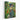 Whimsical Tea Party in the Woods Canvas Wrap / 16 x 20