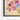 Blooming Whispers of Spring Canvas Framed Canvas (Black) / 14 x 11