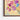 Blooming Whispers of Spring Canvas Framed Canvas (Walnut) / 40 x 30