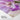 Whispering Petals in Soft Hues Fine Art Print / 24 x 32