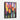 Vibrant Tulips in Expressive Hues Framed Canvas (Black) / 30 x 40
