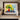 Vibrant Botanical Symphony in Paint Fine Art Print / 48 x 32