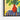 Vibrant Botanical Symphony in Paint Framed Canvas (Black) / 30 x 20