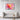 Radiant Bloom: Visions in Pink Framed Canvas (Black) / 48 x 32