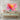 Radiant Bloom: Visions in Pink Canvas Wrap / 48 x 32