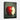 Crimson Apple Essence Revealed Framed Canvas (Black) / 30 x 40