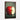 Crimson Apple Essence Revealed Framed Canvas (Walnut) / 30 x 40