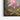 Cattleya Orchid and Three Hummingbirds, Martin Johnson Heade, 1871 Framed Canvas (Black) / 14 x 11