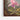 Cattleya Orchid and Three Hummingbirds, Martin Johnson Heade, 1871 Framed Canvas (Walnut) / 48 x 32