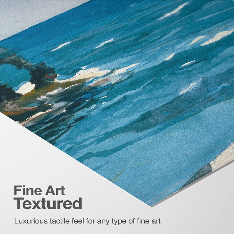 Luxurious Texture & Detail