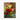 Flower Piece in Vase, Georges Jeannin, before 1925 Canvas Wrap / 18 x 24