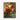 Flower Piece in Vase, Georges Jeannin, before 1925 Canvas Wrap / 16 x 20