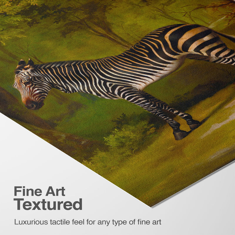 Luxurious Texture & Detail