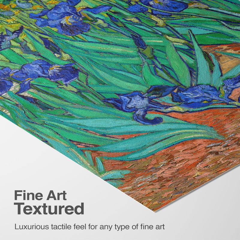 Luxurious Texture & Detail